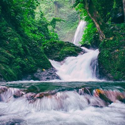萌想物语破解版下载