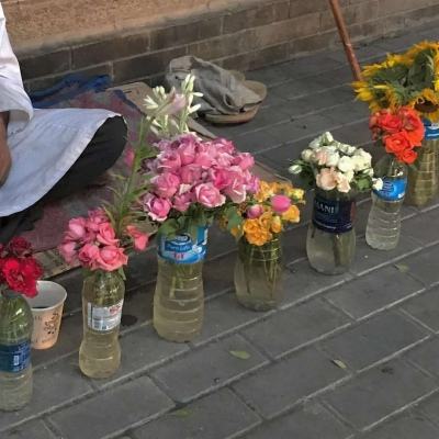 粒子搜索爆衣女神手游正式版下载